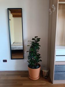 Fotografie z fotogalerie ubytování B&B Monte Adone v destinaci Santa Cecilia