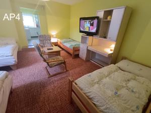 um quarto de hotel com duas camas e uma televisão em Apartmány Eva em Batňovice