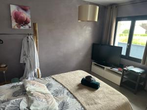 Postel nebo postele na pokoji v ubytování Studio cosy « Le Cocon » avec piscine et spa + 20 fotografií