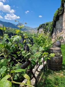 um jardim com vista para uma montanha em Agriturismo Orrido di Pino em Agerola