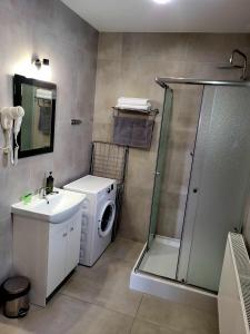 ein Badezimmer mit einer Waschmaschine und einem Waschbecken in der Unterkunft Willa "Aparthause" E-Apartamenty in Mielec