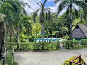 a view of a resort with palm trees and a pool at Mal Pais Surf Camp in Santa Teresa Beach