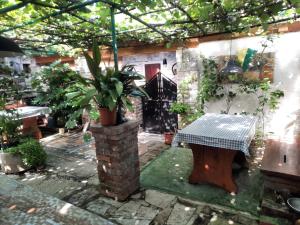 un patio con una mesa y una maceta en Rural Pension Istra Partner, en Barban