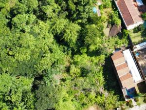 an overhead view of a forest with a house and trees at Mini Chalés Madeira Beach in Ubatuba