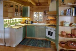 una cucina con armadi verdi, lavandino e piano cottura di Charming Chalet Rogla a Hudinja