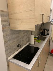a kitchen with a sink and wooden cabinets at Mono-bijoux Albergian, ideale x2 in Turin