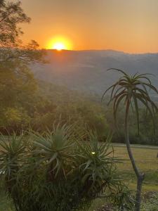 a sunset with a palm tree in the foreground at Wide Horizons Mountain Retreat in Malkerns