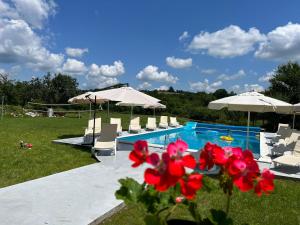uma piscina com cadeiras e guarda-sóis e flores vermelhas em Guest House Gerasimovi em Elena