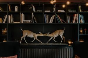 two deer walking on a table in a library at Château de Vignée in Rochefort