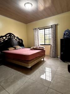 ein Schlafzimmer mit einem großen Bett in einem Zimmer mit Fenster in der Unterkunft Jacuzzi privado y cama king parqueo exclusivo in Santa Rosa de Copán