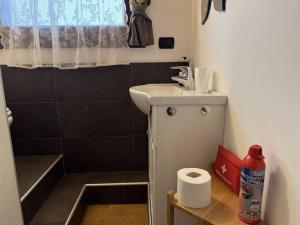 een kleine badkamer met een wastafel en een douche bij Comfort Room 1 Dogana Svizzera in San Fermo della Battaglia