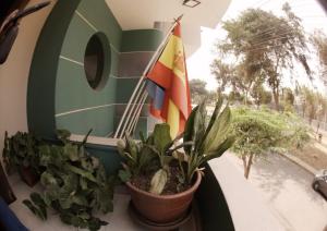 flaga na balkonie z roślinami i oknem w obiekcie Hotel Asturias Inn w mieście Lima