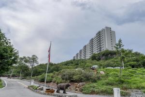 um elefante de pé ao lado de uma estrada com um edifício em Grandfather View em Sugar Mountain