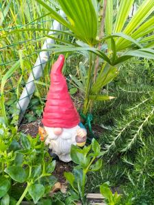 un gnomo de jardín en medio de algunas plantas en Night & Day Affittacamere di Laura Patuelli en Cotignola