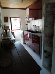 una pequeña cocina con fregadero y nevera. en Maisonnette de charme en Bourgogne, en La Machine