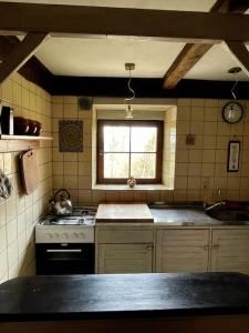 Η κουζίνα ή μικρή κουζίνα στο Galeria Kozia Szyja +21 φωτογραφίες