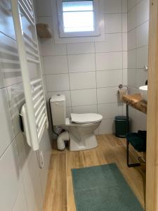 a small bathroom with a toilet and a sink at Chalet de la Baume in La Châtelaine