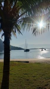 a palm tree on a beach with a boat in the water at Pousada Éden in Angra dos Reis