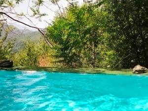 basen z błękitną wodą z drzewami w tle w obiekcie Apartamentos Balcon del Cielo w mieście Trevélez