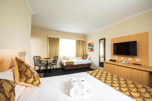 TV a/nebo společenská místnost v ubytování Mahoneys Motor Inn