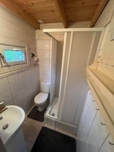 普魯斯基的住宿－domek Pluski，一间带卫生间和水槽的小浴室