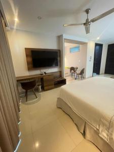 Hotel Santorini Loft的电视和/或娱乐中心