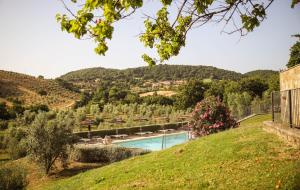 een resort met een zwembad op een grasheuvel bij Country House Poggio Aione in Catabbio