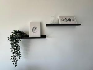 Fotografie z fotogalerie ubytování Studio panoramique & parking v destinaci Cap d'Ail