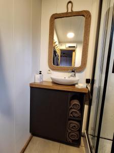 a bathroom with a sink and a mirror at temps 1solite in Andenne