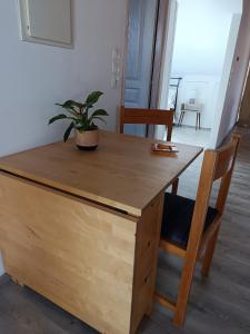 a wooden table with a potted plant on top of it at Airport Loft , paiania in Paianía