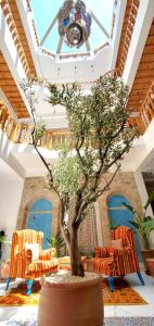 a tree in a pot in a room with chairs at Riad Al Manara in Essaouira