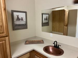 ein Bad mit einem Waschbecken und einem Spiegel in der Unterkunft Rainbows End Fishing Resort in Pinetop-Lakeside