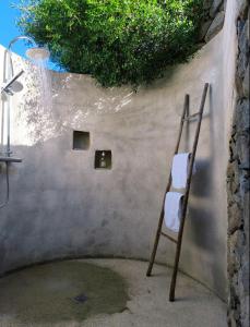 une échelle s'inclinant contre un mur avec une plante dans l'établissement Les Bergeries de Piazzagina, à Piediquarcio