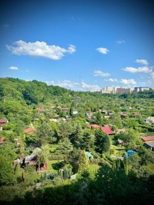z góry widok na wioskę z drzewami i budynkami w obiekcie Apartament White Glove Sikorskiego w Olsztynie