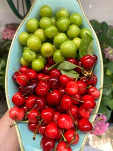a bowl of cherries and other fruits on a table at Hotel Imperial in Dhërmi