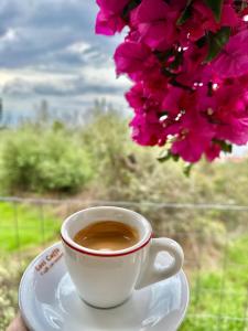 a cup of coffee sitting on a plate next to a flower at Hotel Imperial in Dhërmi