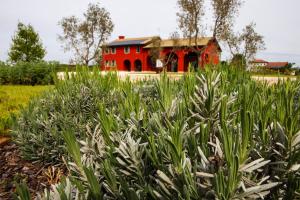 Zahrada ubytování Agriturismo La Rosarnetta