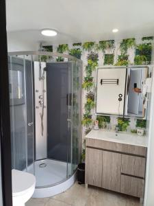 ein Bad mit einer Dusche, einem WC und einem Waschbecken in der Unterkunft La maison entre deux plages,vue sur mer classée 4 étoiles in Criel-sur-Mer