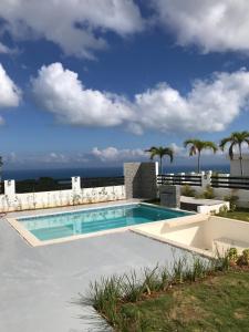 une piscine avec l'océan en arrière-plan dans l'établissement VILLA FLORENCE HOYO CACAO, à Las Terrenas