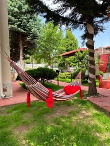 a hammock hanging from a tree in a yard at Villa in Ptolemaida in Proástion