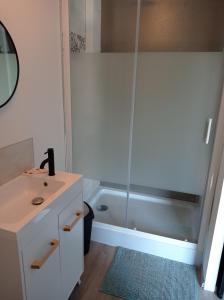 a bathroom with a shower and a sink and a tub at La villa Saint-Martin in Pontorson