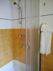a shower with a glass door in a bathroom at Penzion Jiřičná in Jiřičná +45 photos
