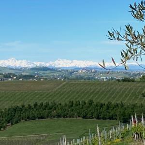 uma vista para uma vinha com montanhas ao fundo em Casa Bianchetti em Costigliole dʼAsti