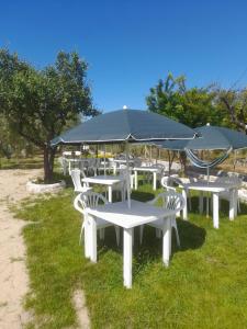 un grupo de mesas y sillas con sombrilla en Villa Elvira, en Vieste