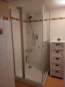 W łazience znajduje się prysznic ze szklanymi drzwiami. w obiekcie Steibinger Bergnest w mieście Oberstaufen