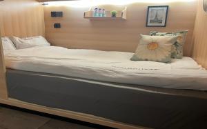 Fotografie z fotogalerie ubytování Luxury Hostel v Rijádu