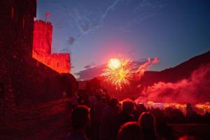 Fotografie z fotogalerie ubytování Burg Reichenstein v destinaci Trechtingshausen