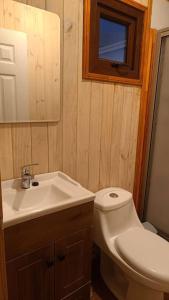 Ένα μπάνιο στο Refugio Natural en Malalcahuello +8 φωτογραφίες