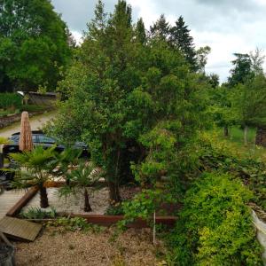a garden with trees and plants in a yard at le jack in Mont-sous-Vaudrey