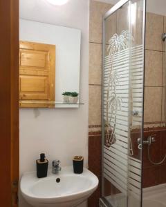 a bathroom with a sink and a glass shower at Vila Rianna in Dunavăţu de Jos